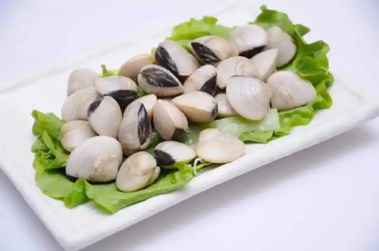 白贝的功效和营养价值