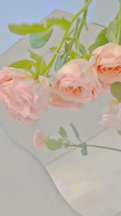 iphone锁屏壁纸 丨手机壁纸丨花朵壁纸丨春日壁纸 图源水印