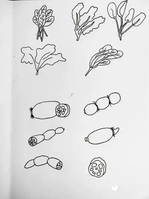 蔬菜系简笔画4