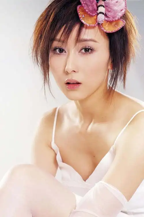 胡静昔日的风采