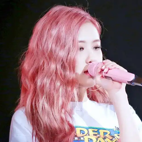 朴彩英rose by林沂