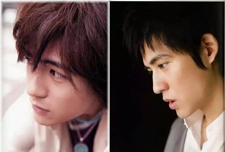 不演古装剧的话,周渝民的脸还是和20年前一样帅_花泽类_骨骼_帅哥