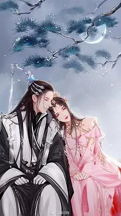 华丽的古典--俪影成双-花瓣网|陪你做生活的设计师 | 花城谢怜