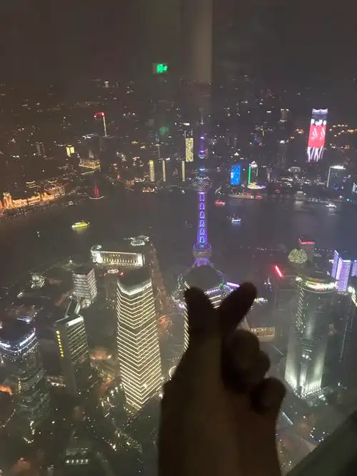 往下看明珠塔,看上海的一切高楼大厦!一眼望去全是风景!
