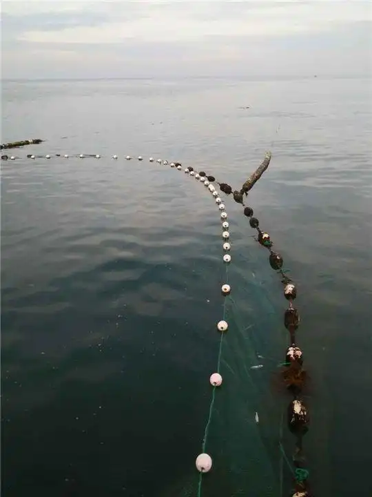 迷魂阵捕鱼网的摆法?