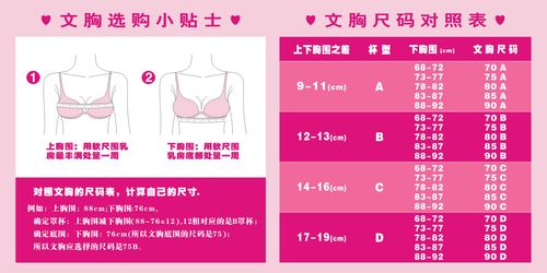 736海报印制展板写真喷绘贴纸266内衣店选购文胸小贴士海报