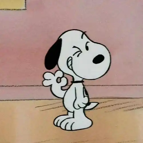 求求史努比头像0606