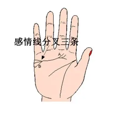 感情线末端分三叉   预示着你的桃花运势很旺