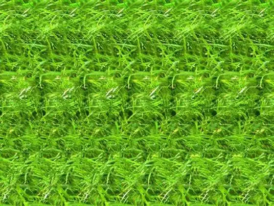 3d立体图,很过瘾!