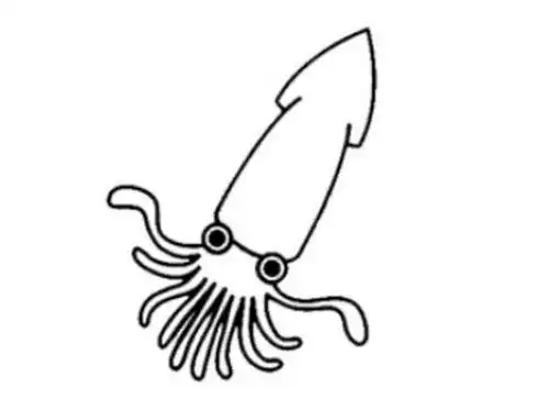 可爱鱿鱼简笔画怎么画 简易鱿鱼简笔画步骤教程