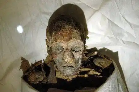 埃及展出最著名女法老木乃伊 (组图)