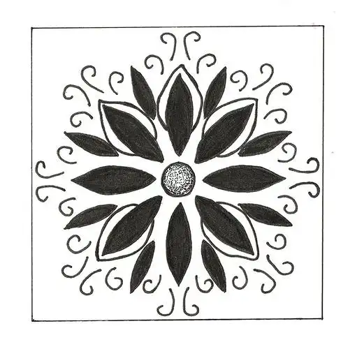 大学图形创意课作业图案课作业黑白装饰画作业