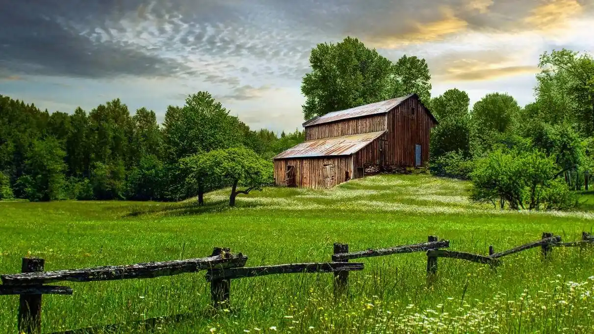 绿色 护眼 草地 木屋 风景高清 4k电脑壁纸