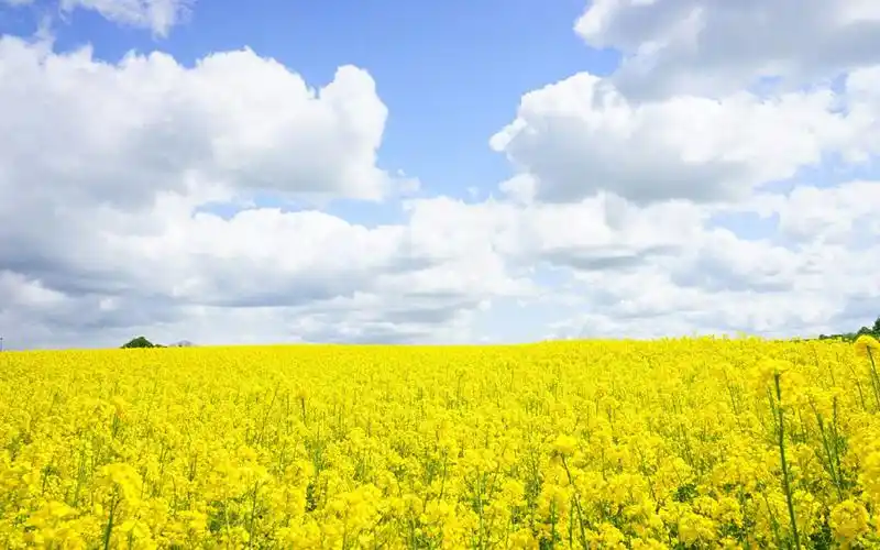 优美怡人的自然风光图片电脑壁纸高清大图预览1920x1200_风景壁纸下载