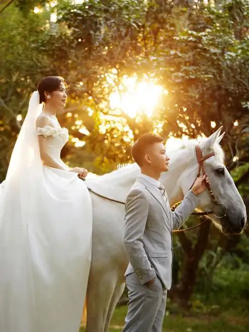今日最佳60解锁森系白马婚纱照中的爱情童话