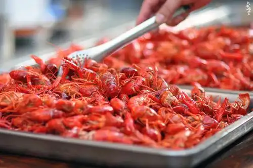 9.9元能干嘛?吃哭合肥这家龙虾馆!