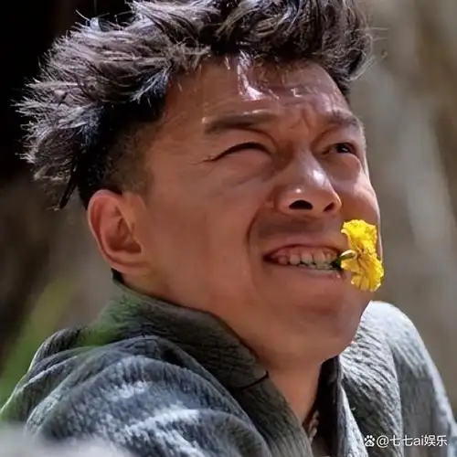 直到遇见导演宁浩,他获得了展现才华的机会,通过电影《疯狂的石头》一