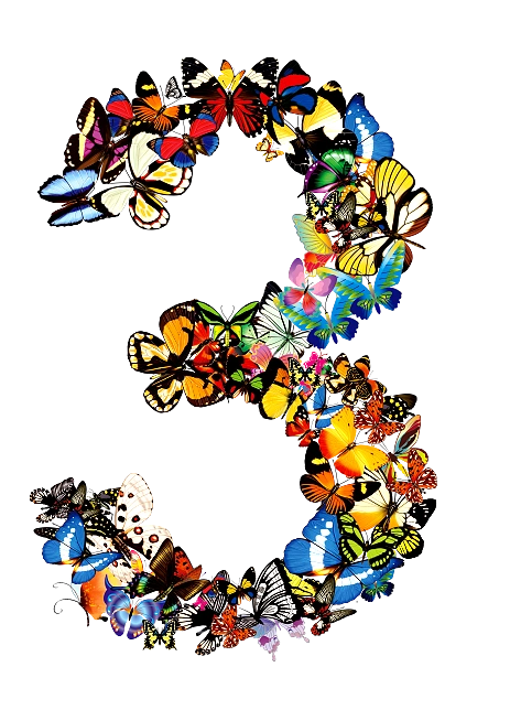 艺术数字创意设计png素材蝴蝶数字3