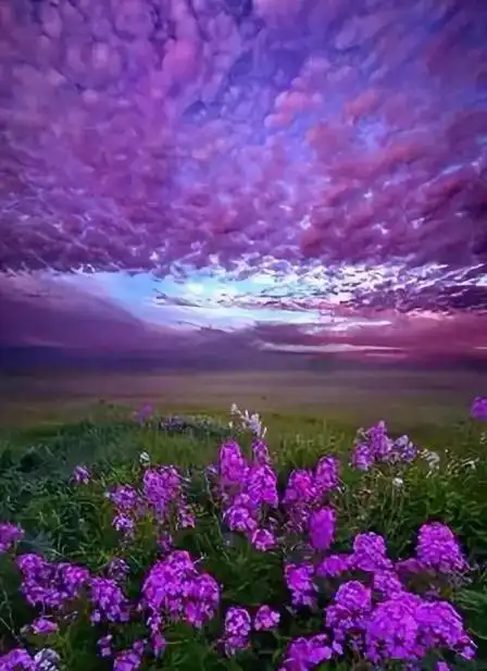 天堂美景,人间仙境,真是太美了_网易订阅