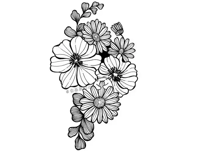 简笔画教程,跟着小云画线描,简单又容易