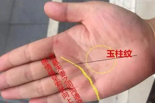 "手有通天纹,财富飞快来",天生注定干大事业,事业必有大成