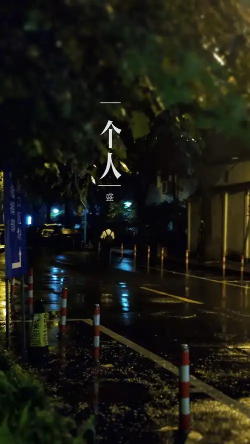 一个人的夜雨天