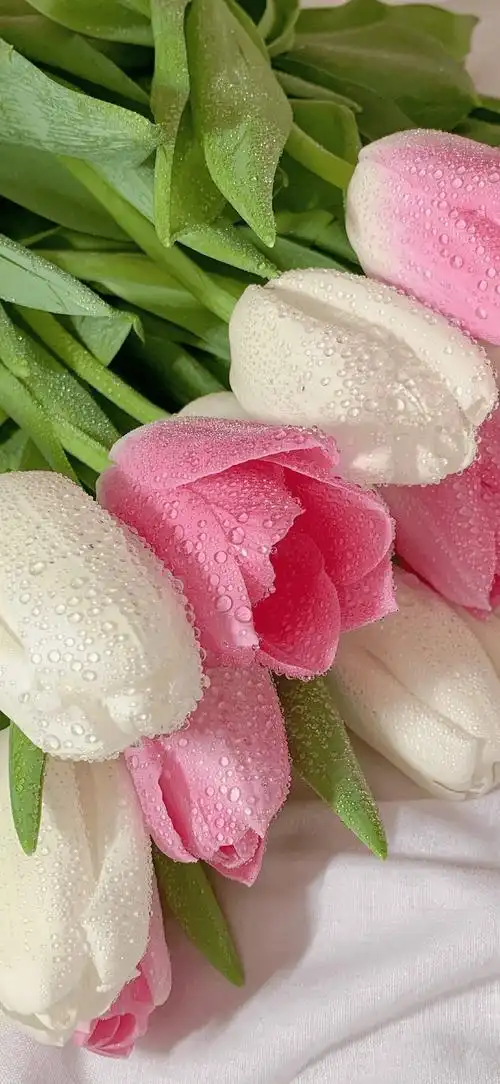 1080_2341竖版 竖屏