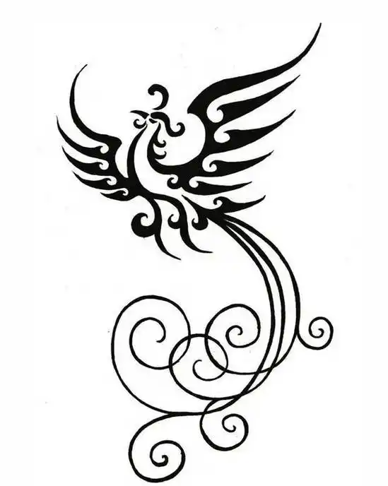 中国传统图腾文化之凤凰与老虎