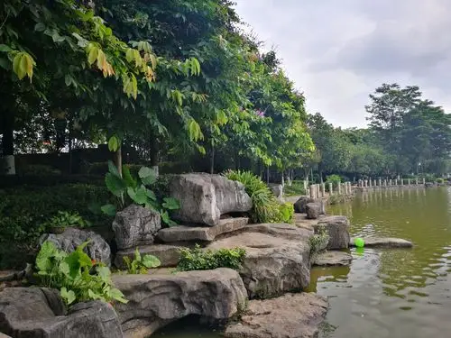 自然亲水性驳岸——贵港东湖公园(干货图片)