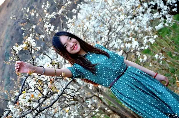 梨花树下回眸一笑的她