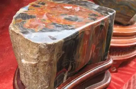 树化石图片与价格分析树化石有收藏价值吗