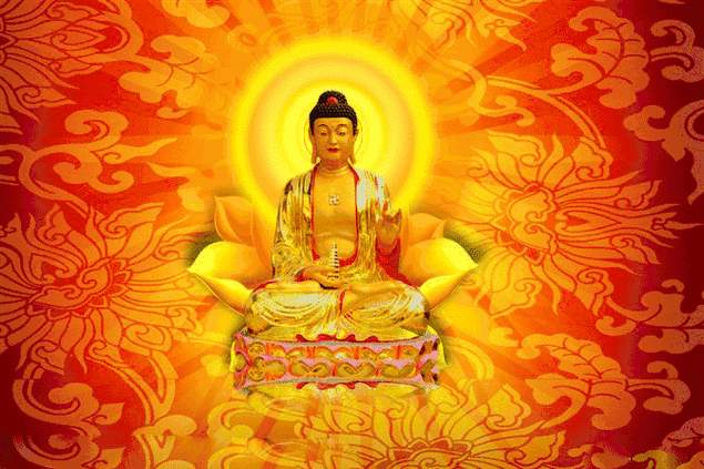 670_446gif 动态图 动图