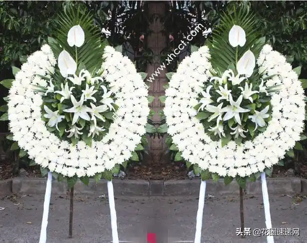 丧葬用花:葬礼上用什么花?参加葬礼带什么花好?