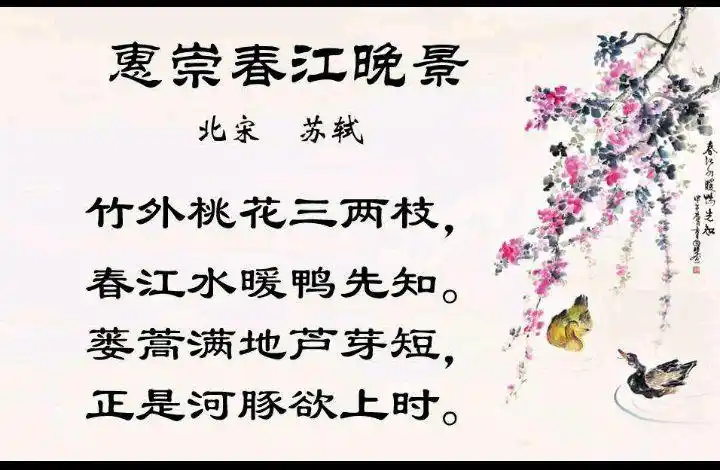 浅析《惠崇春江晚景》诗句的美感