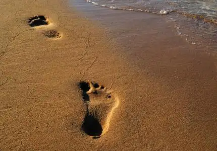 在沙滩上的足迹照片