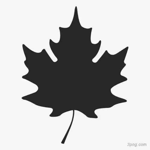 黑色梧桐叶剪影png素材透明免抠图片-其他元素