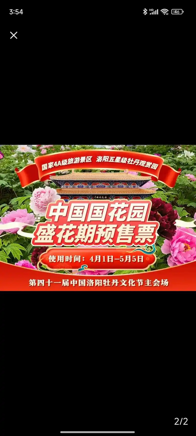 洛阳牡丹已经盛开,市区赏牡丹～中国国花园 - 抖音
