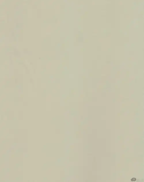 60*37 75*75 100%p 240高f消光春亚纺 吸湿快干 米色_梭织面料供应商