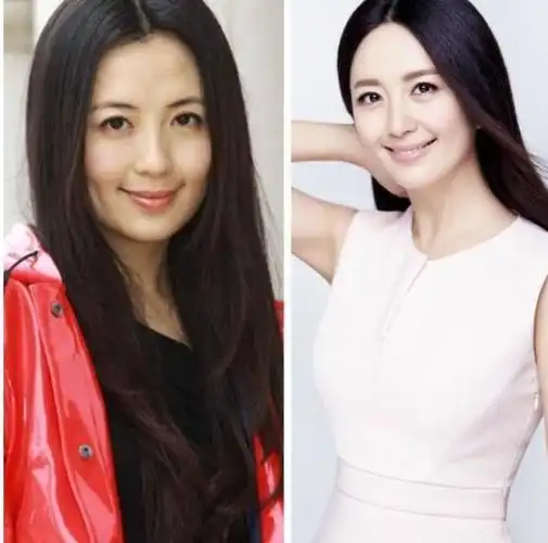 宋林静与杨童舒太像,连于和伟都分不清楚了