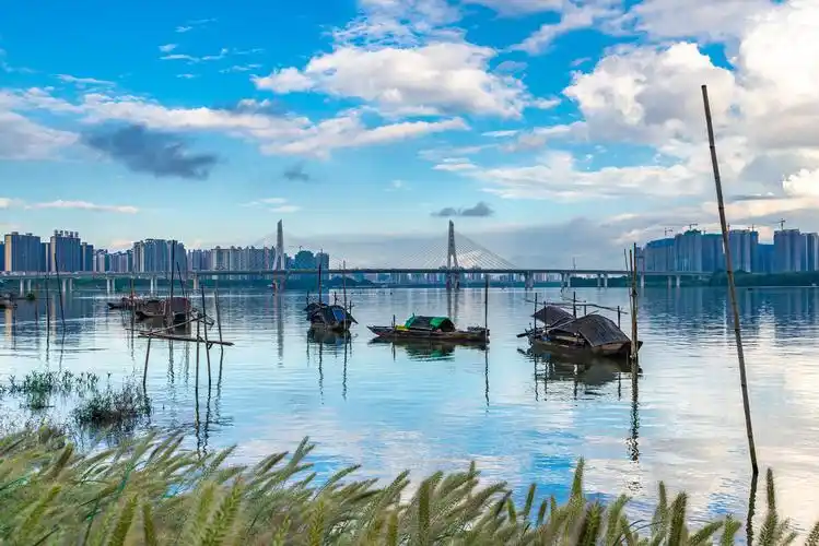 清远北江南岸公园和洲心大桥