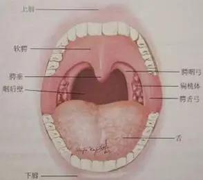 新疆一建医院专家分析腺样体肥大的症状