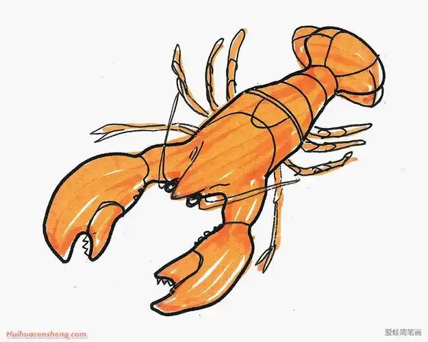 龙虾简笔画