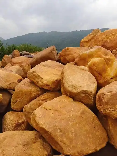 黄蜡石溪流假山,景观点缀园景绿化石|奇石|乔木_网易订阅