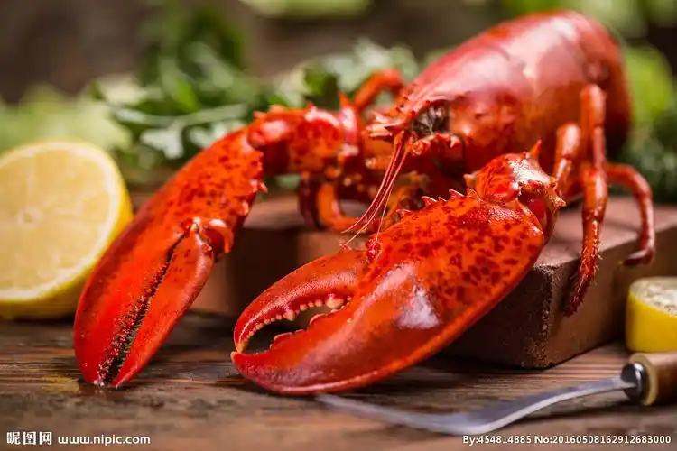 唯美龙虾图片