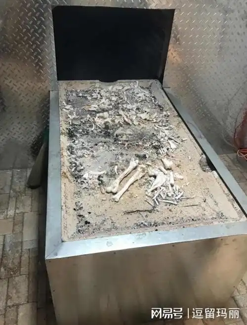 研究:心脏停止意识仍继续,自己知道自己死|天堂|生命体|地狱_网易订阅