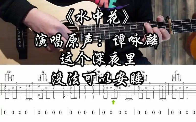 【附谱】水中花 - 演唱原声:谭咏麟 吉他弹唱示范,动态吉他谱