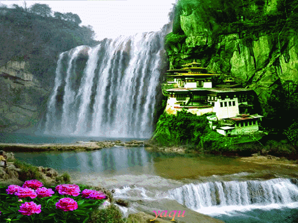 600_450gif 动态图 动图