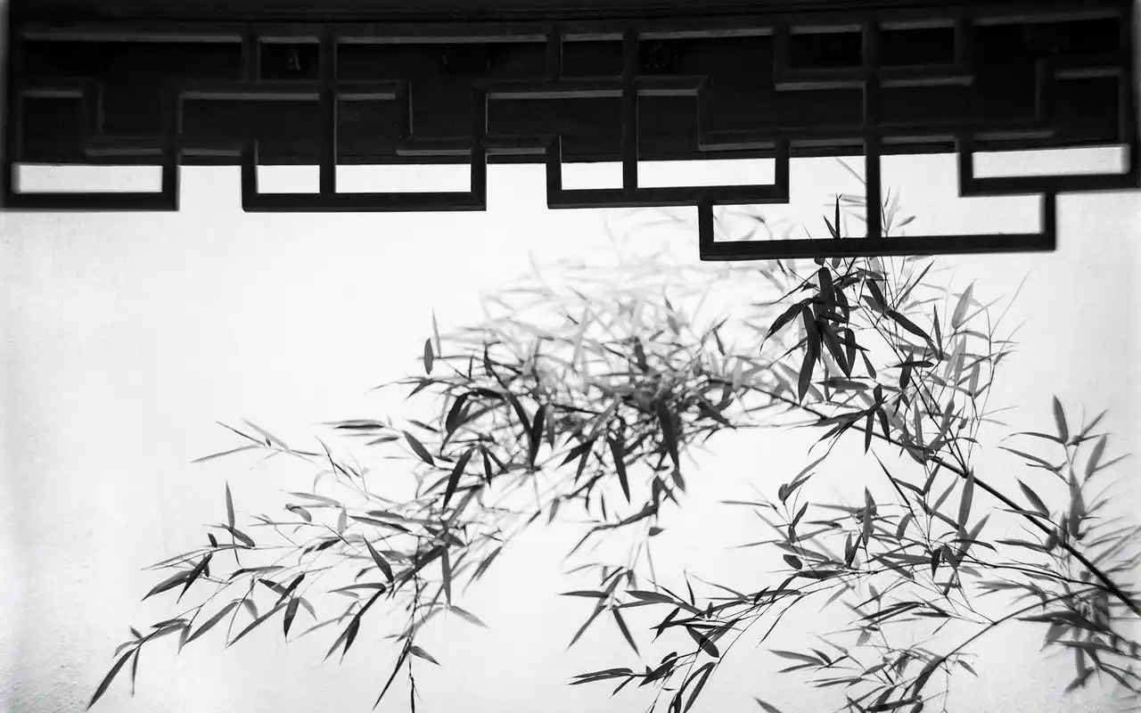 美桌网把热门壁纸图片推荐给您,让您更快的找到您想要的简约好看的