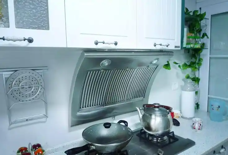 厨房用抽油烟机十大品牌 厨房抽油烟机什么品牌最好