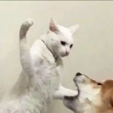 恶搞情侣头像一对两张高清雷人搞笑的情头图片